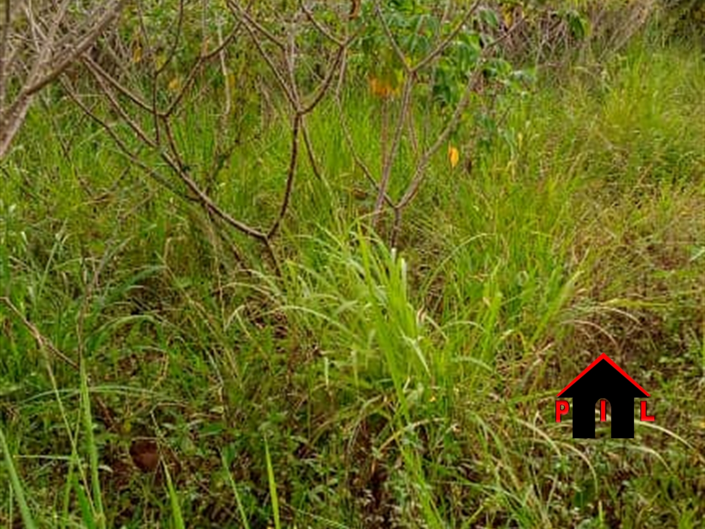 Agricultural Land for sale in Bukasa Kampala