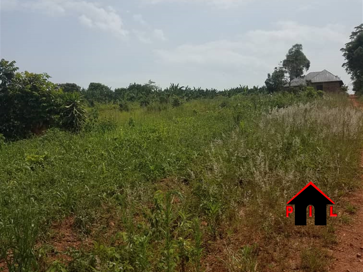 Agricultural Land for sale in Gimbo Wakiso