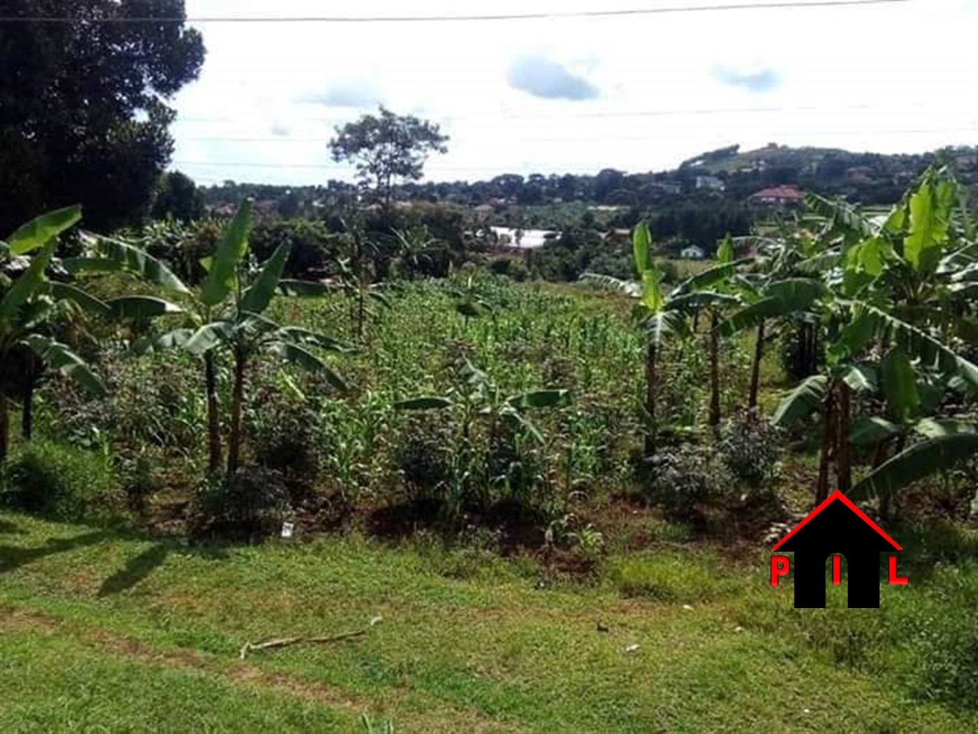 Agricultural Land for sale in Lusalira Mubende