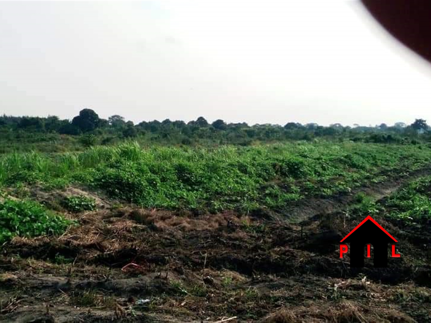 Agricultural Land for sale in Lusalira Mubende