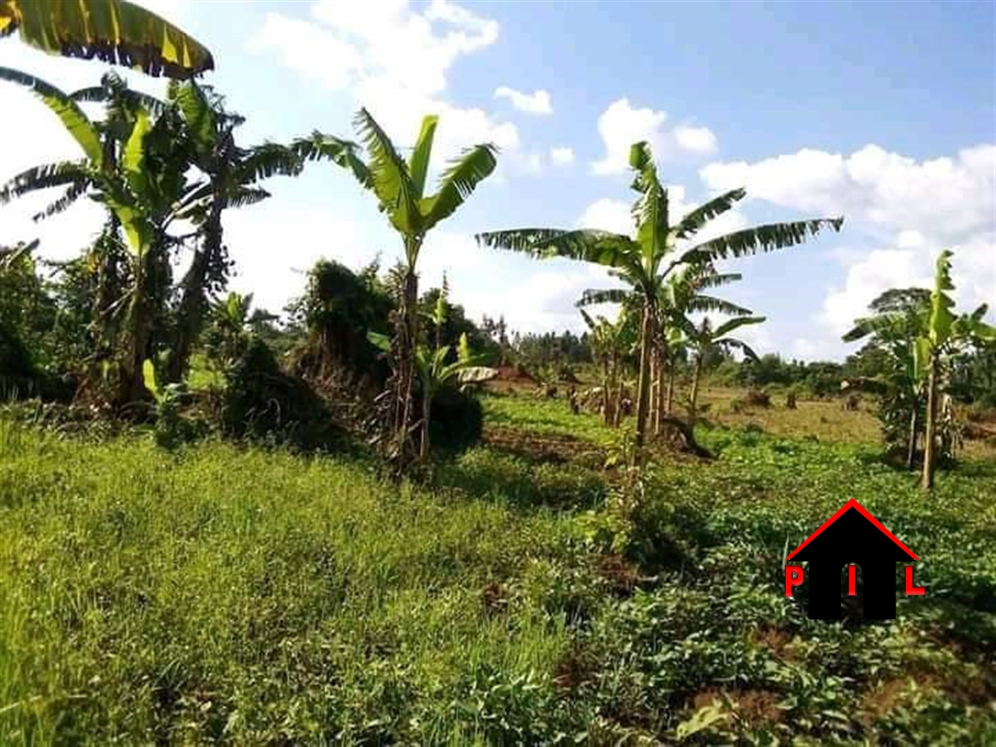 Agricultural Land for sale in Lusalira Mubende