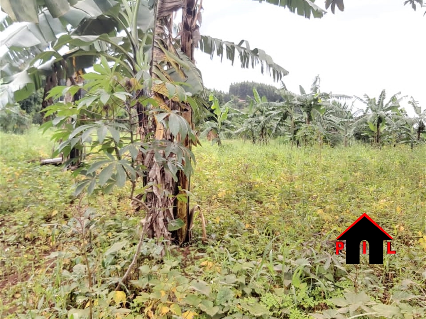 Agricultural Land for sale in Kiwenda Wakiso