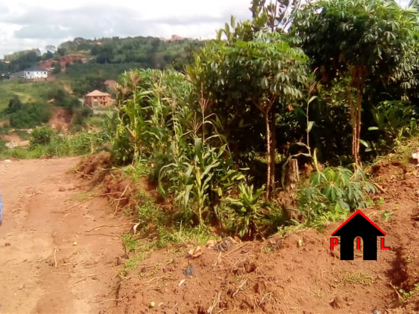 Residential Land for sale in Nangwa Mukono