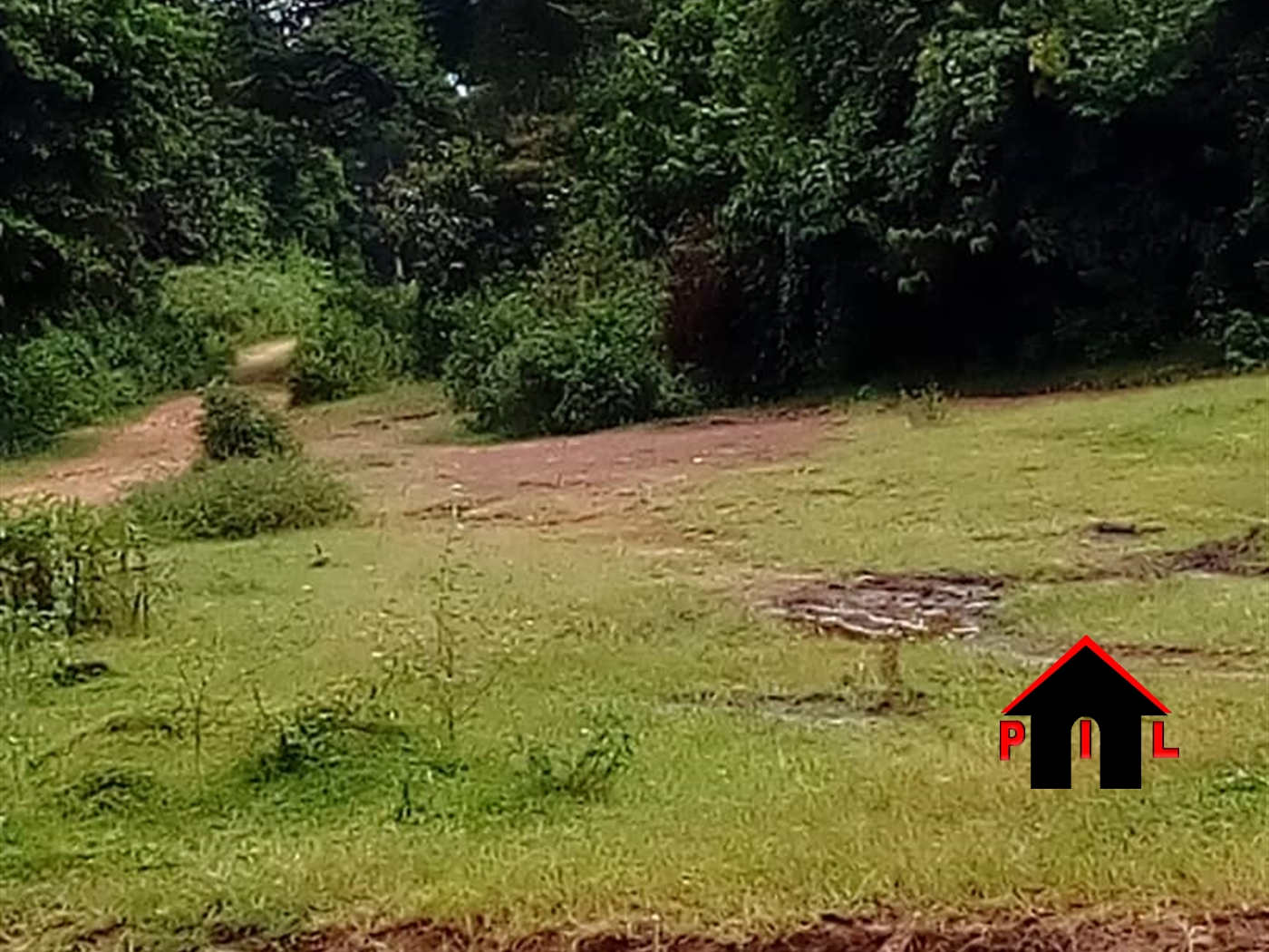 Agricultural Land for sale in Asinget Tororo
