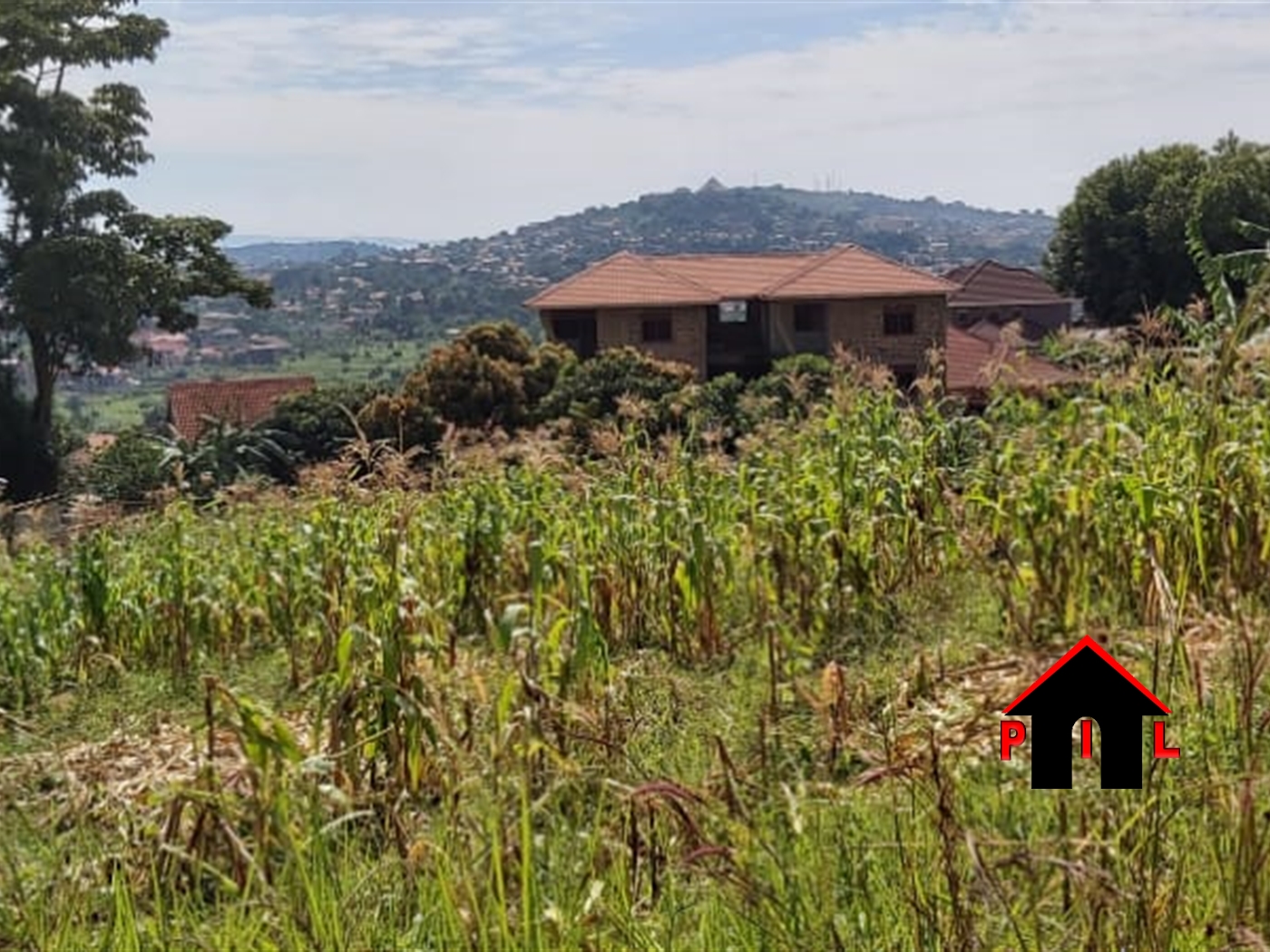 Residential Land for sale in Ziloobwe Luweero