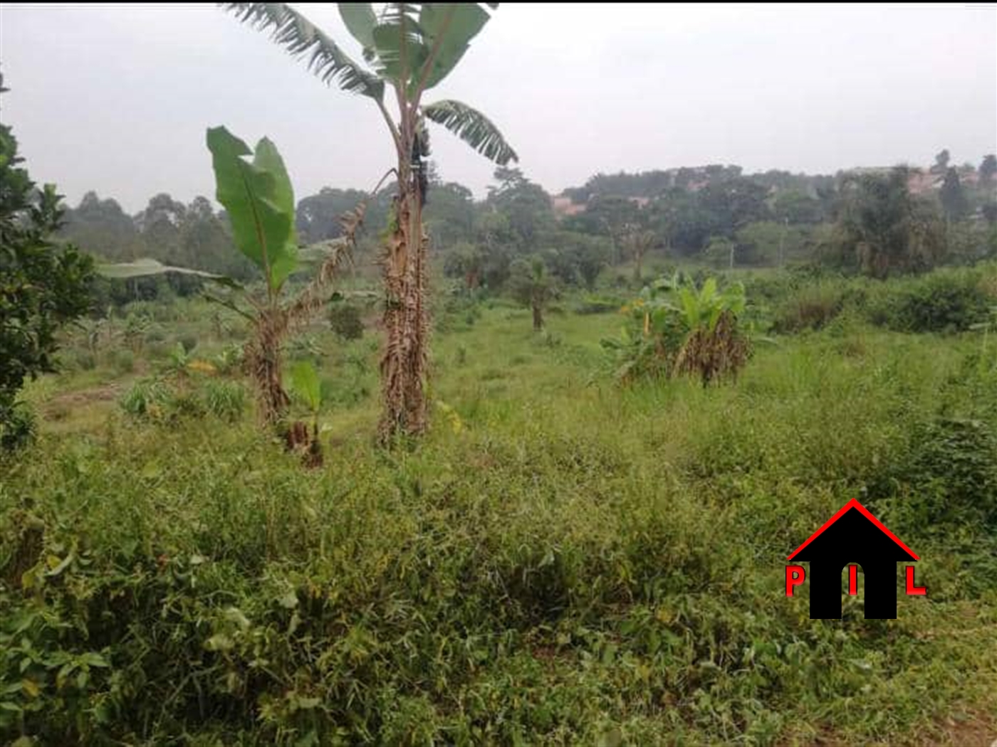 Agricultural Land for sale in Kigunga Mukono