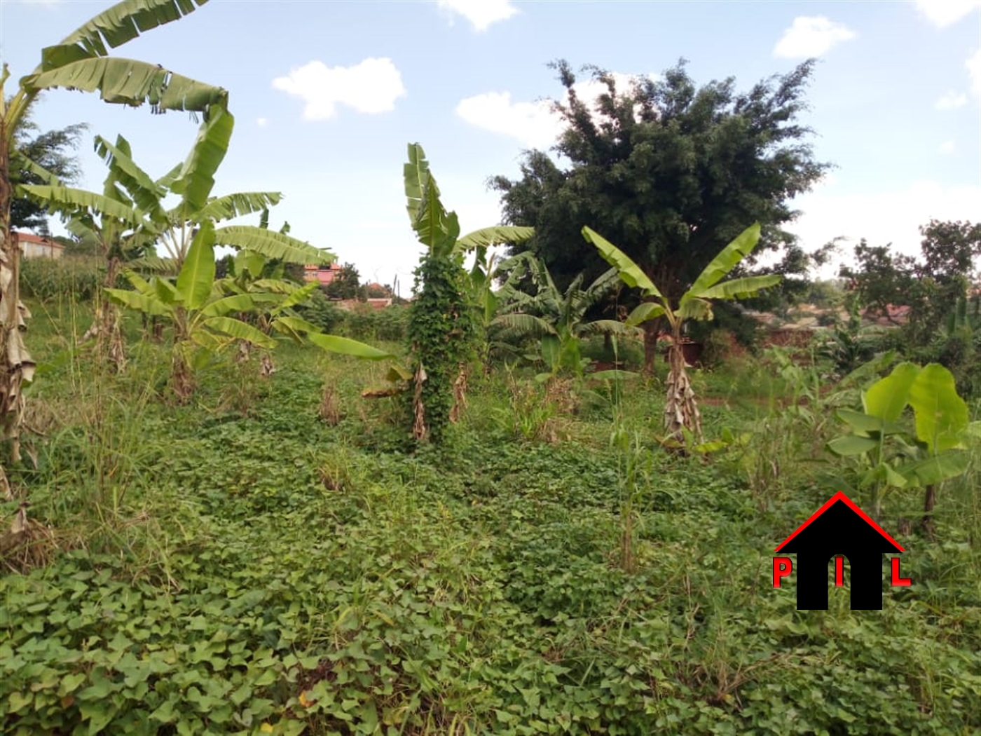 Agricultural Land for sale in Kigunga Mukono