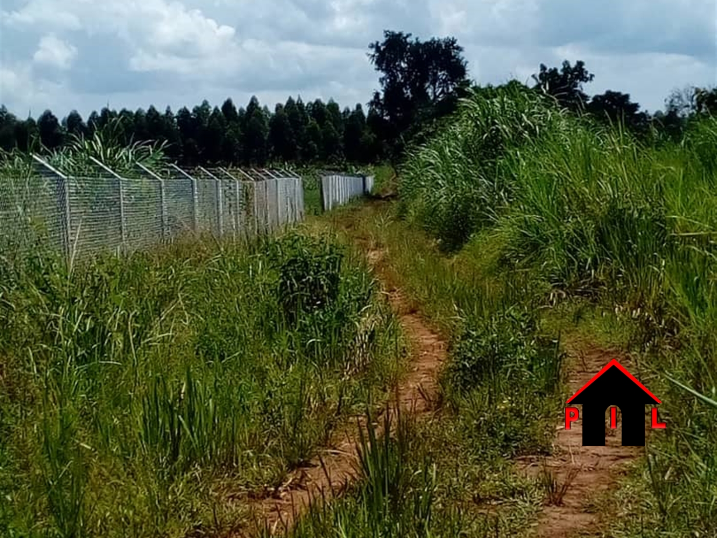 Agricultural Land for sale in Bugema Luweero