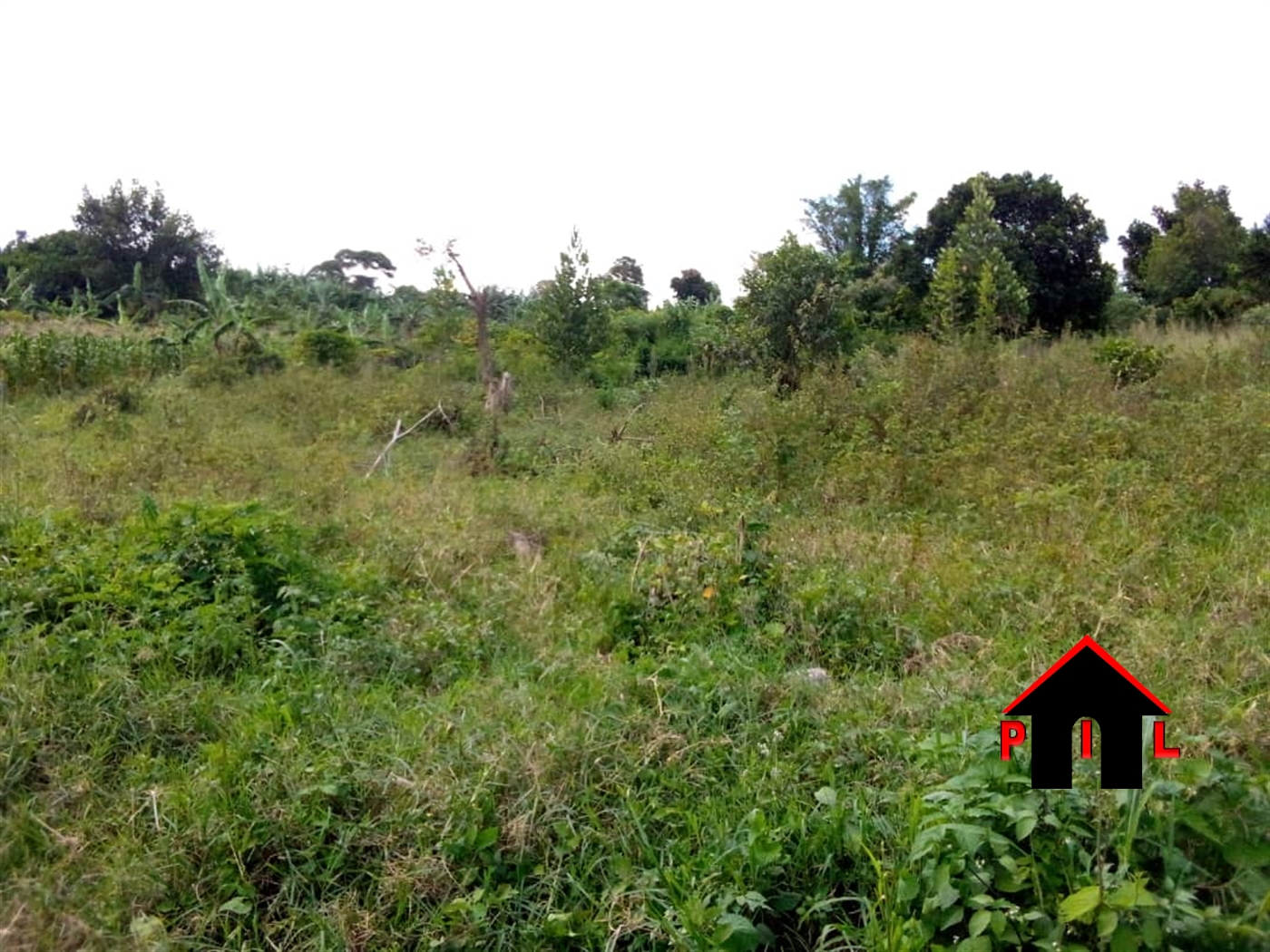 Agricultural Land for sale in Bukolooto Kayunga
