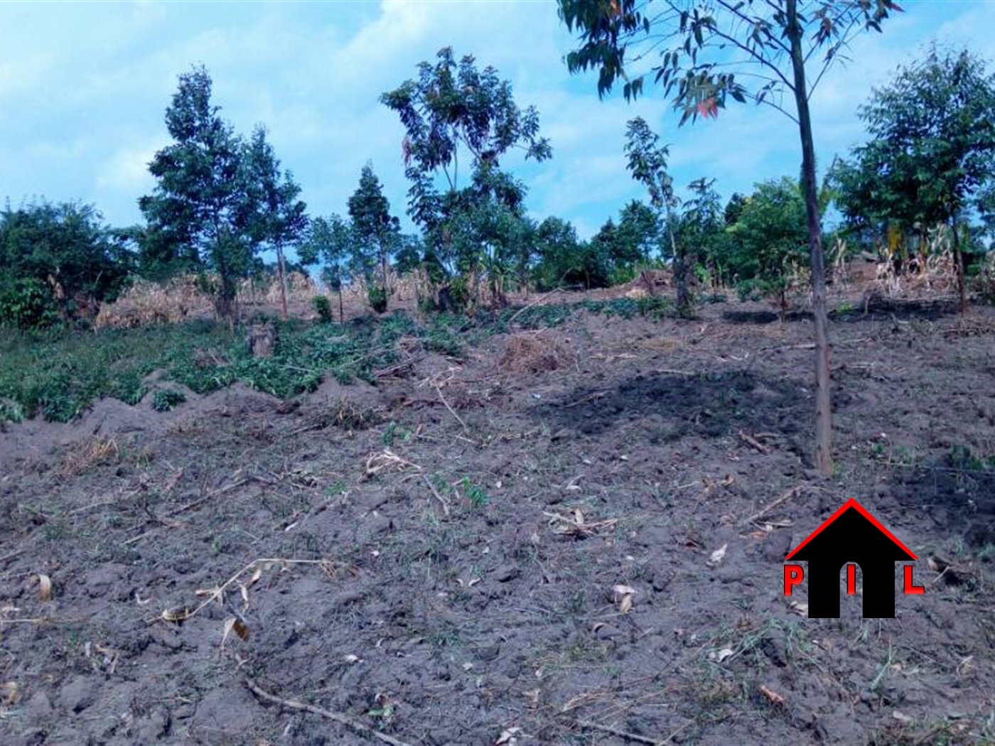 Agricultural Land for sale in Kyerima Kayunga