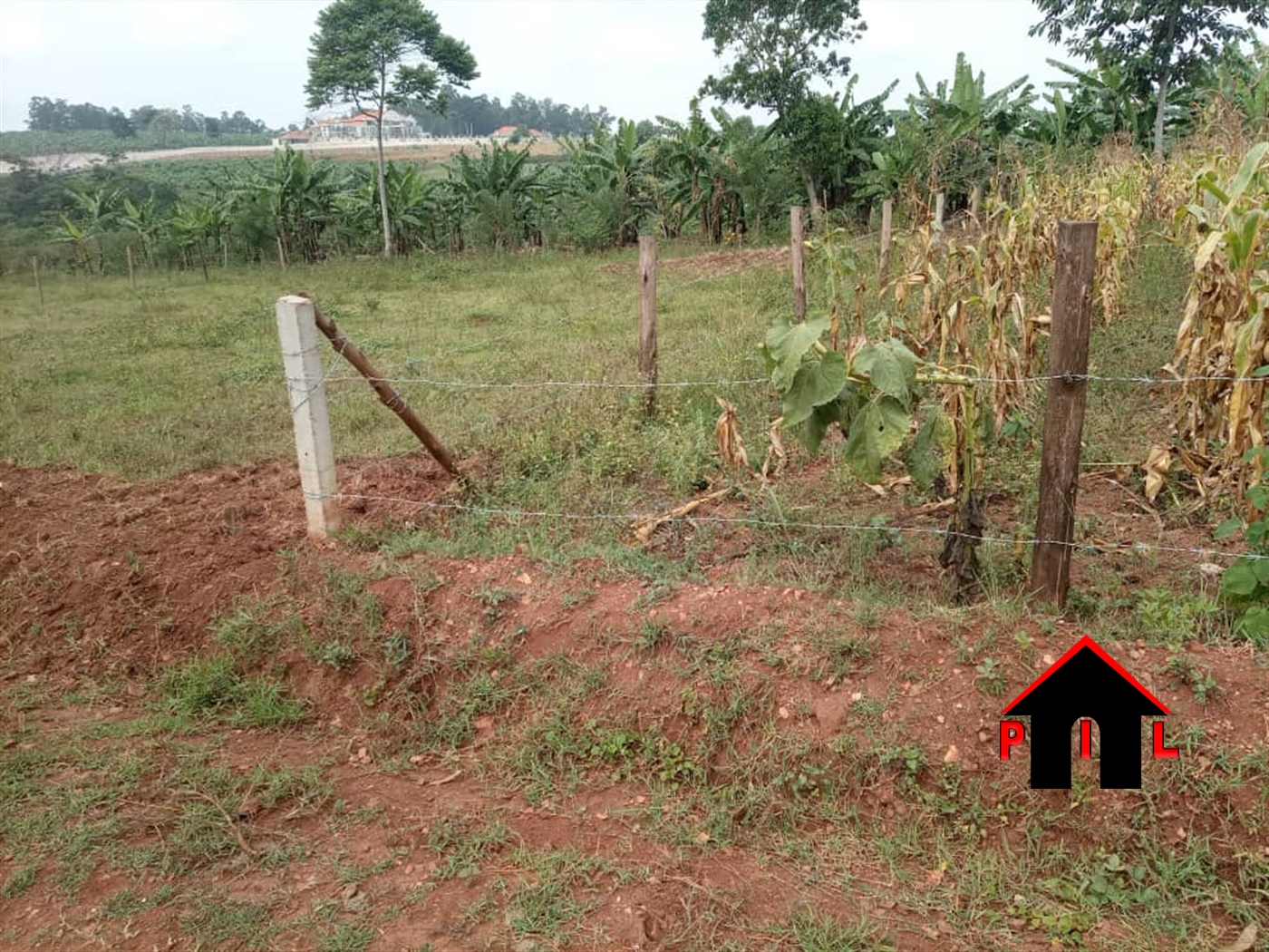 Residential Land for sale in Nayimba Mukono
