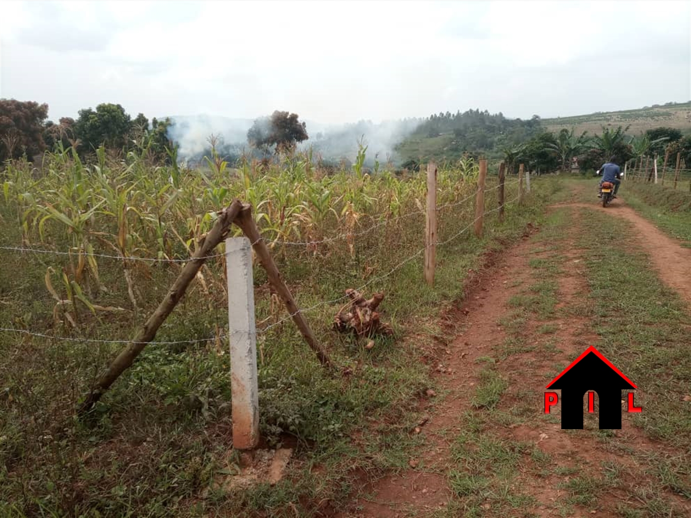 Residential Land for sale in Nayimba Mukono
