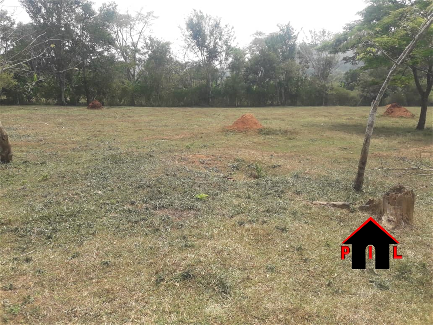 Agricultural Land for sale in Kakiri Hoima