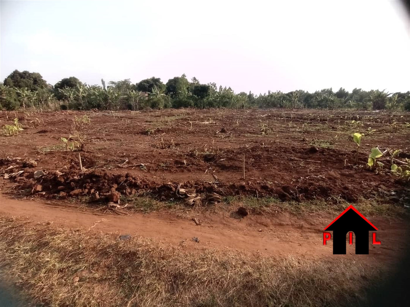 Residential Land for sale in Nakyelongosa Wakiso