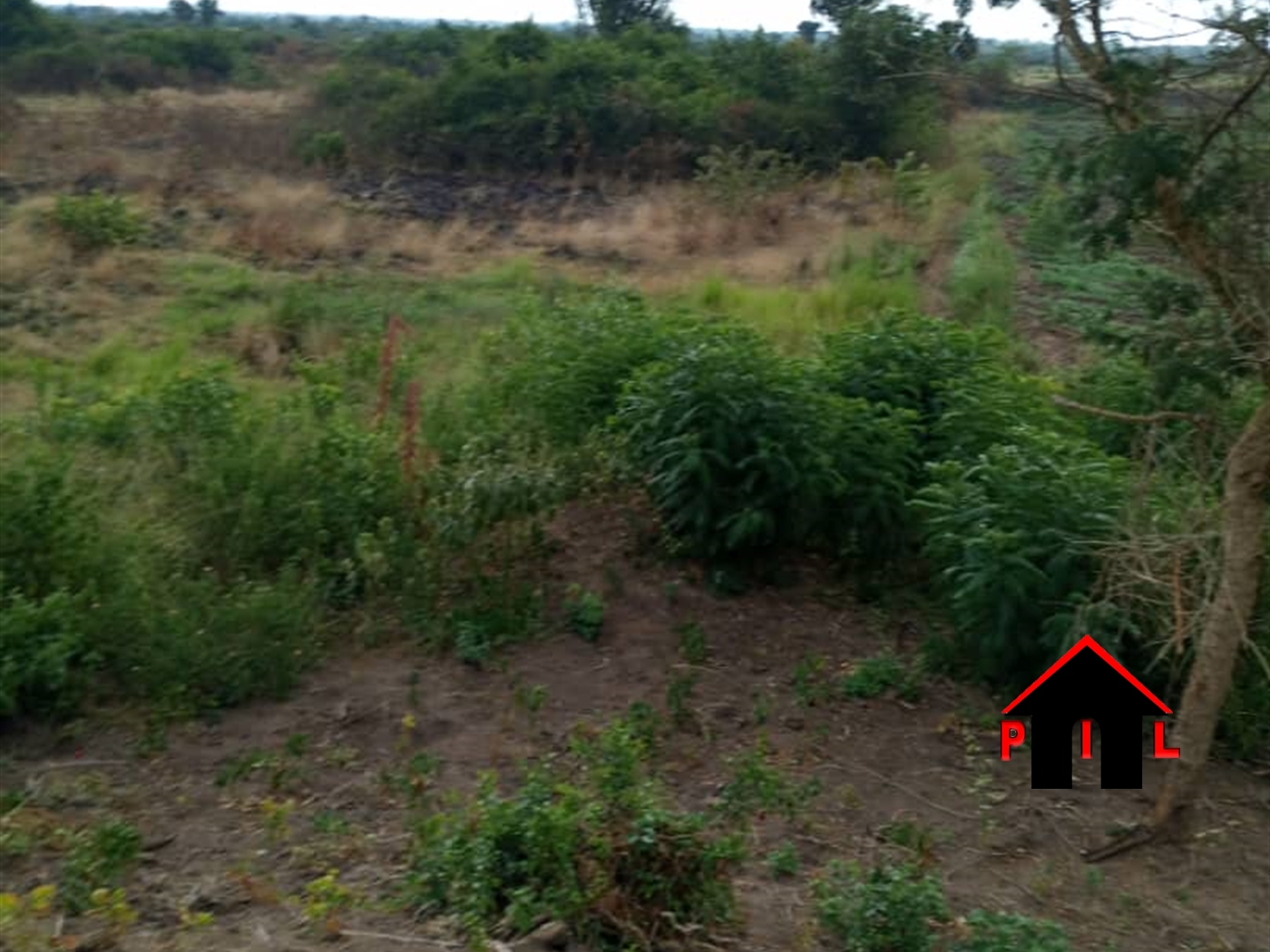 Residential Land for sale in Nakassajja Wakiso