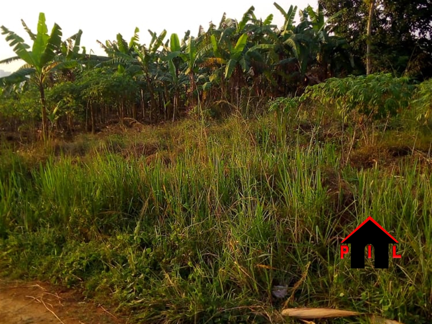 Residential Land for sale in Katta Wakiso