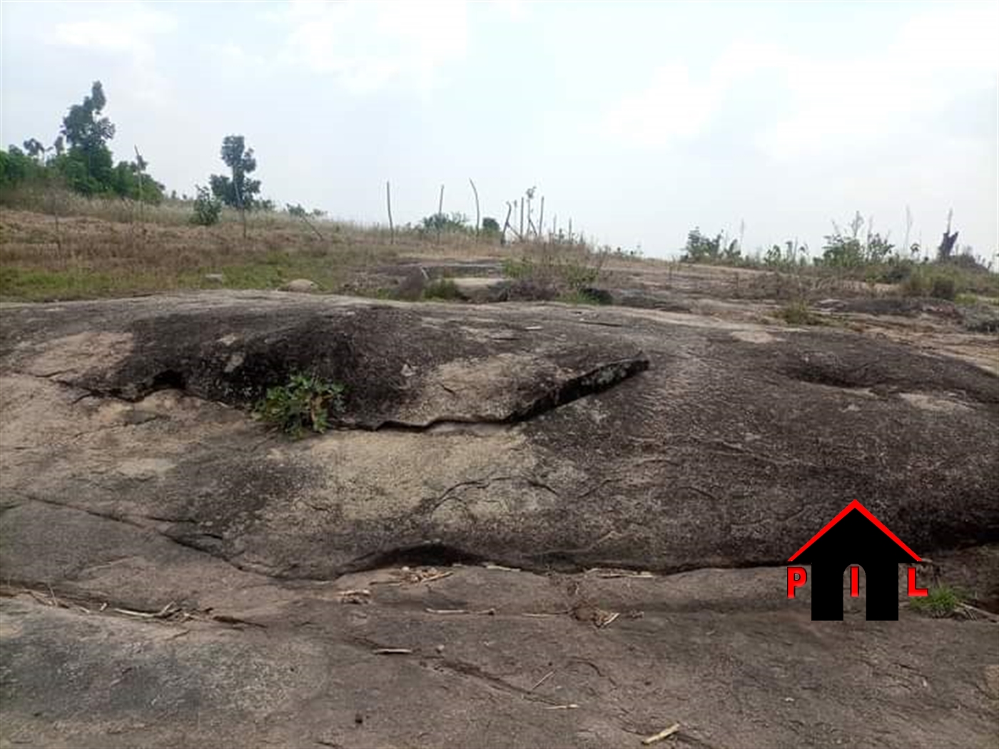 Agricultural Land for sale in Bukomelo Kiboga