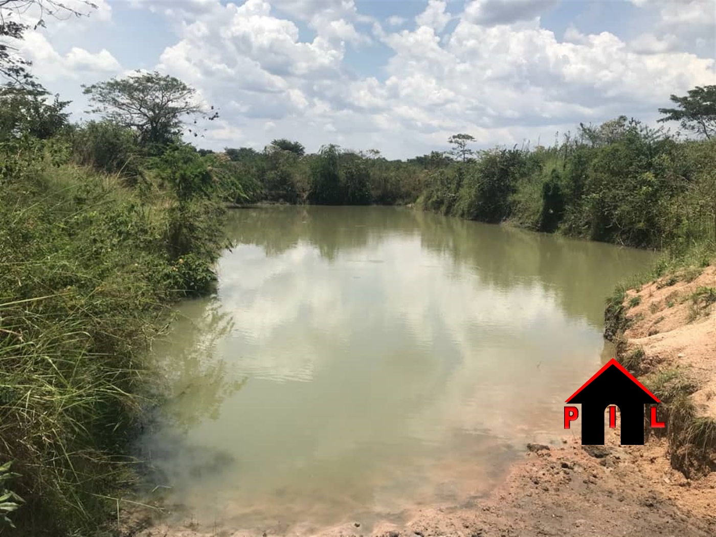 Agricultural Land for sale in Bbaale Kayunga