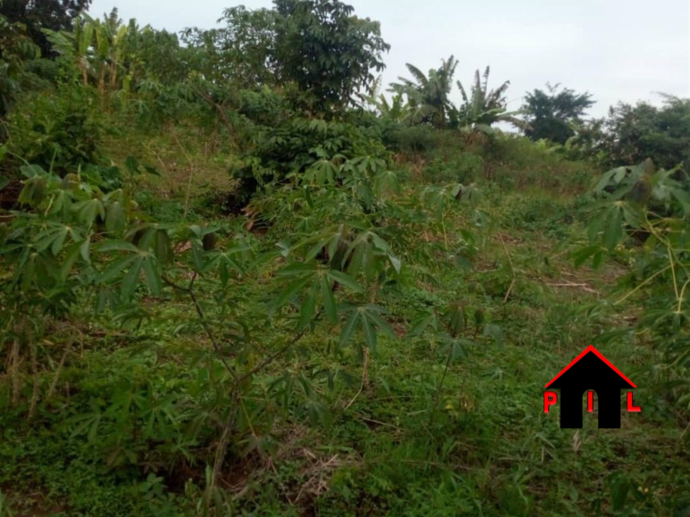 Agricultural Land for sale in Ziloobwe Luwero
