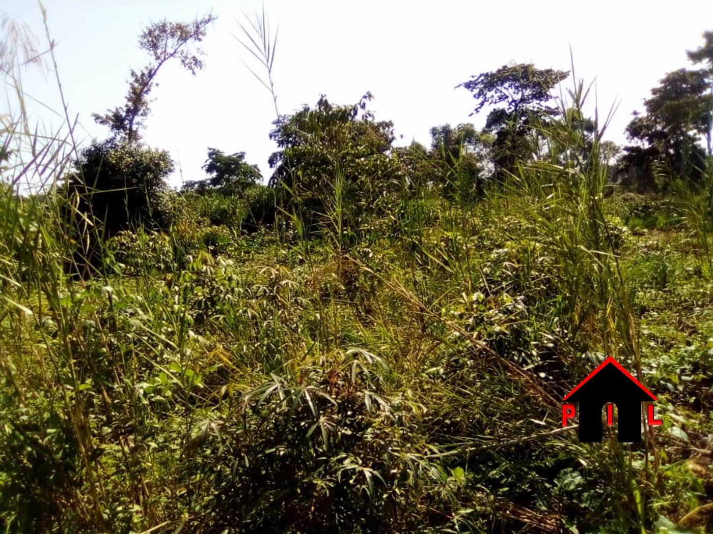 Agricultural Land for sale in Bunankanda Mukono