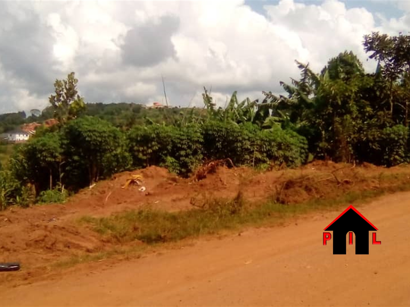 Agricultural Land for sale in Kaswa Luweero