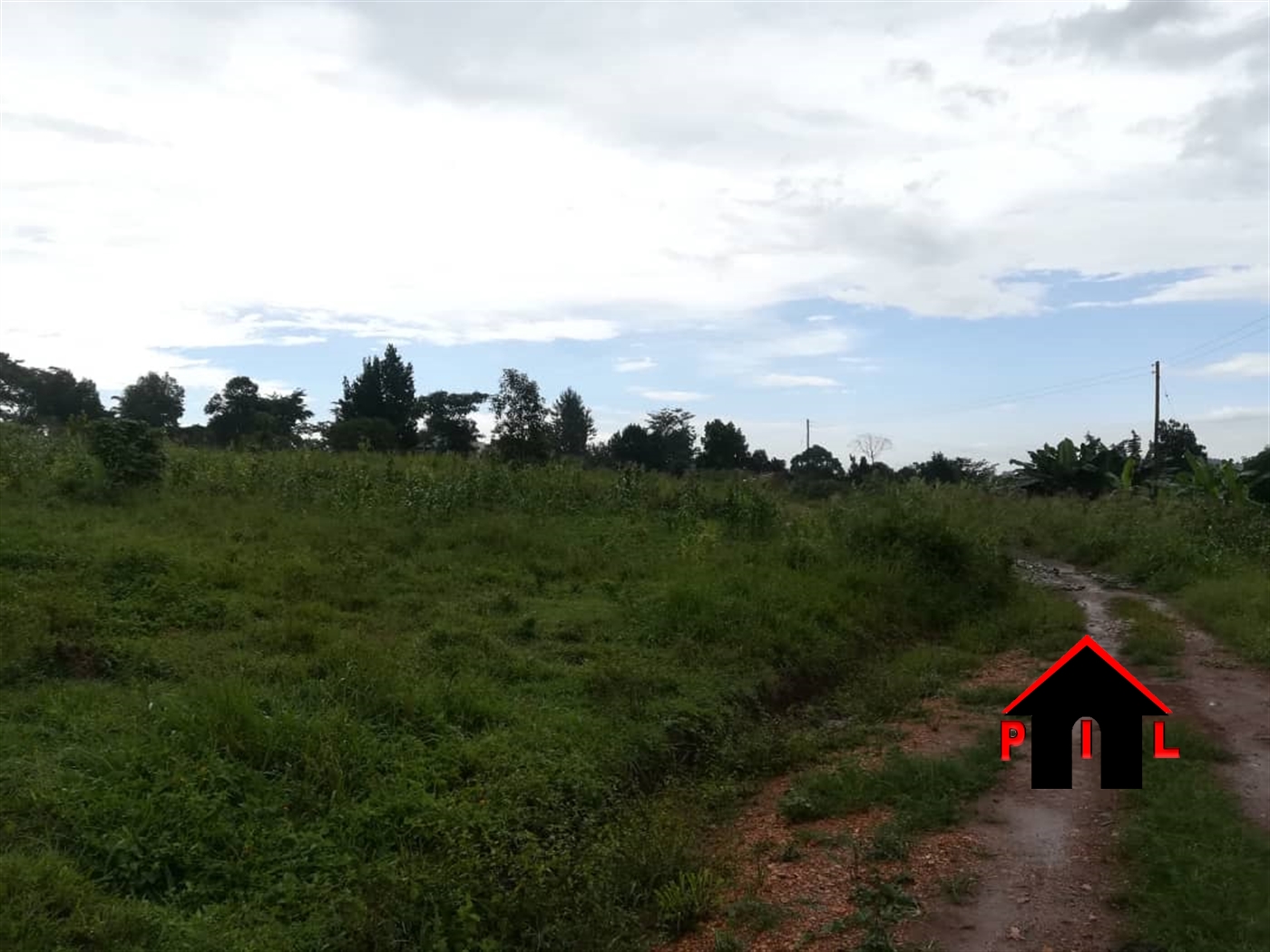 Agricultural Land for sale in Kigubya Luweero