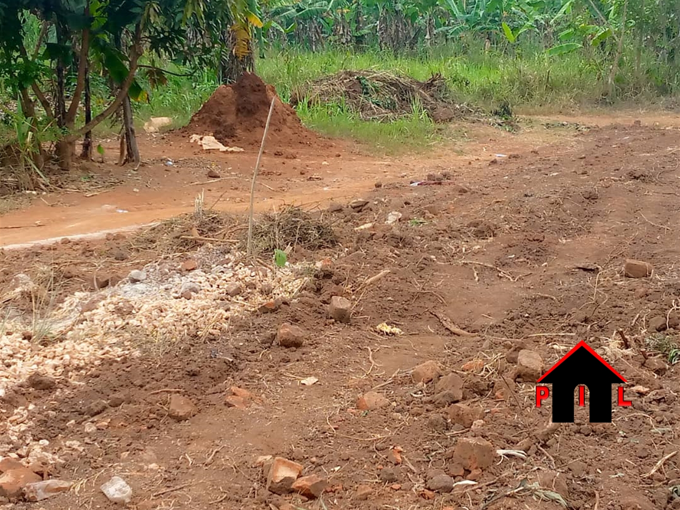 Agricultural Land for sale in Kigubya Luweero