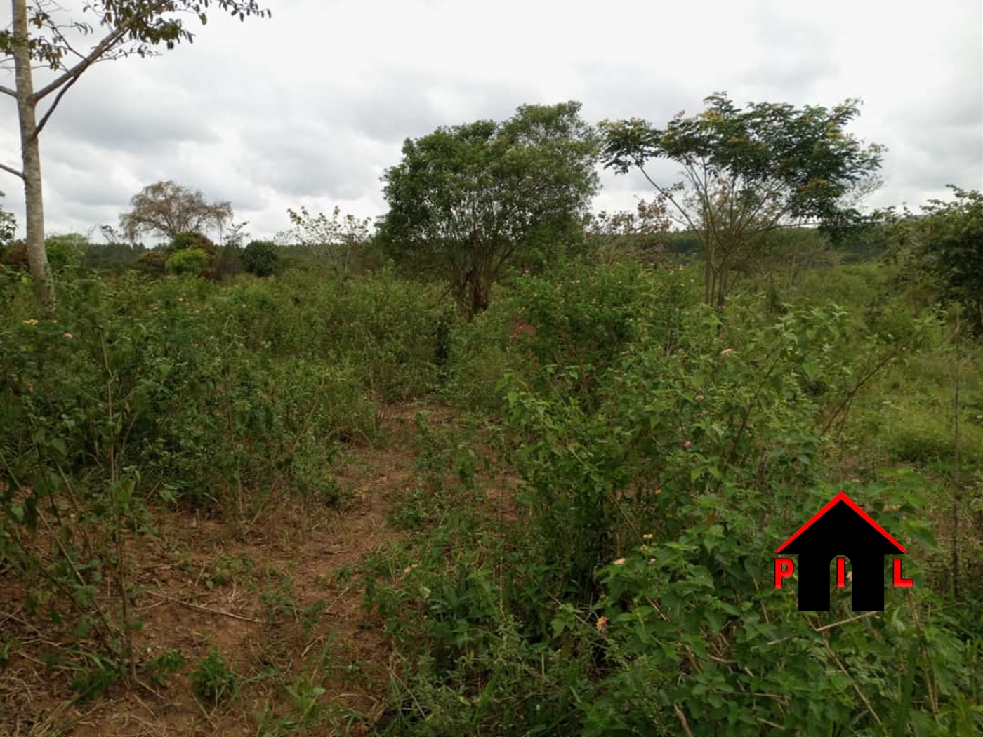 Agricultural Land for sale in Kamila Luweero