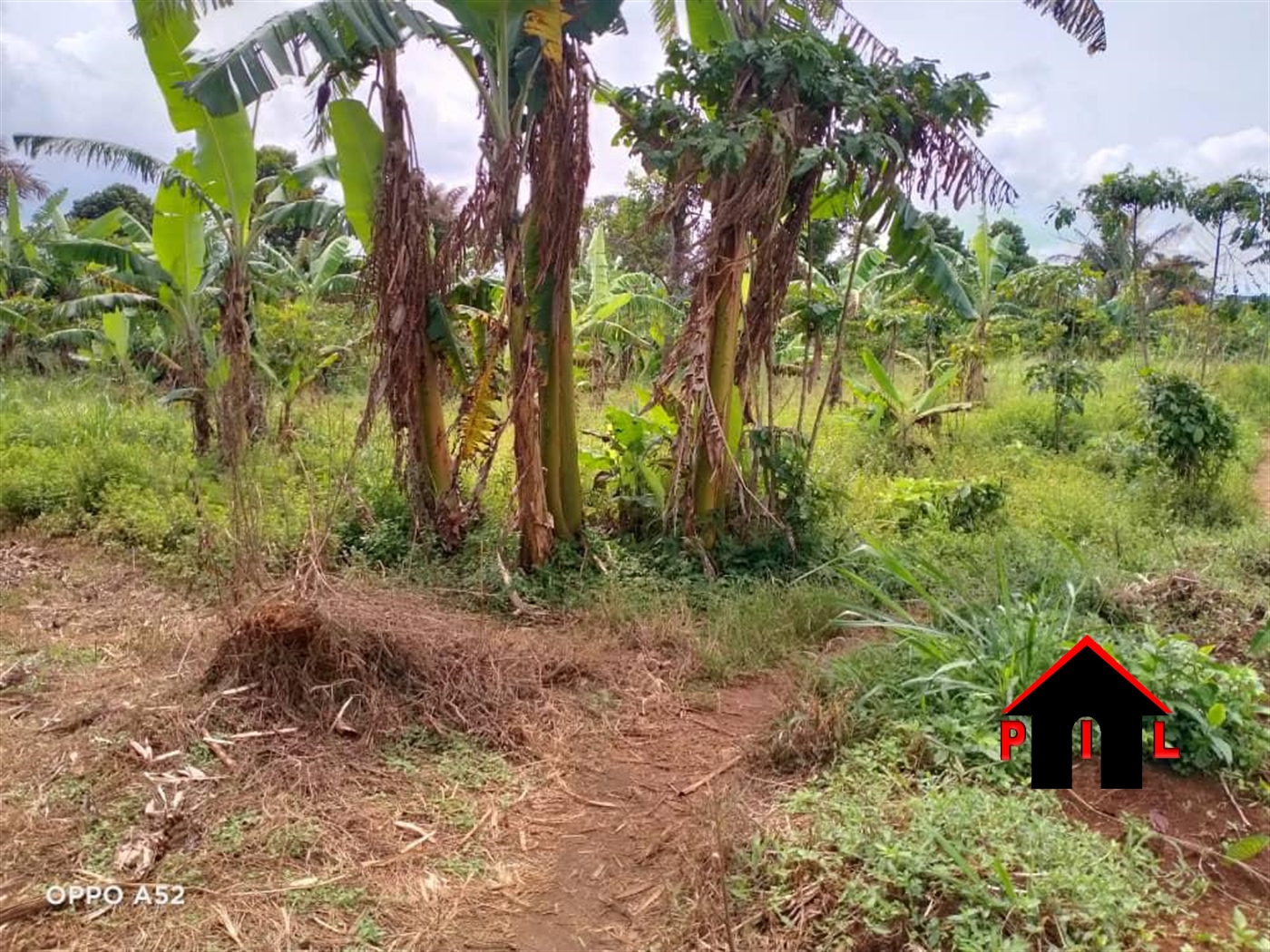 Agricultural Land for sale in Mugoye Kalangala