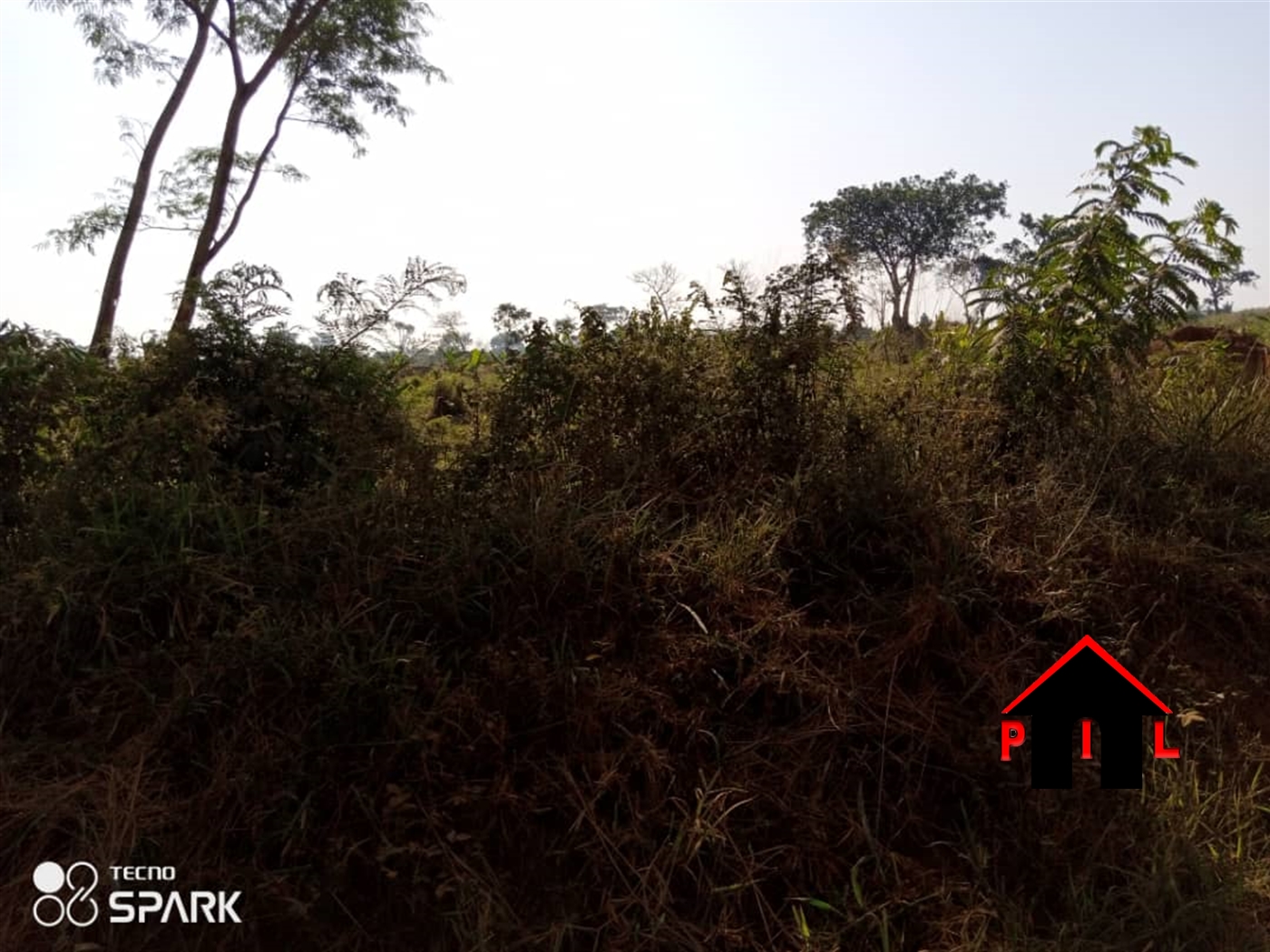 Agricultural Land for sale in Kigubya Luweero