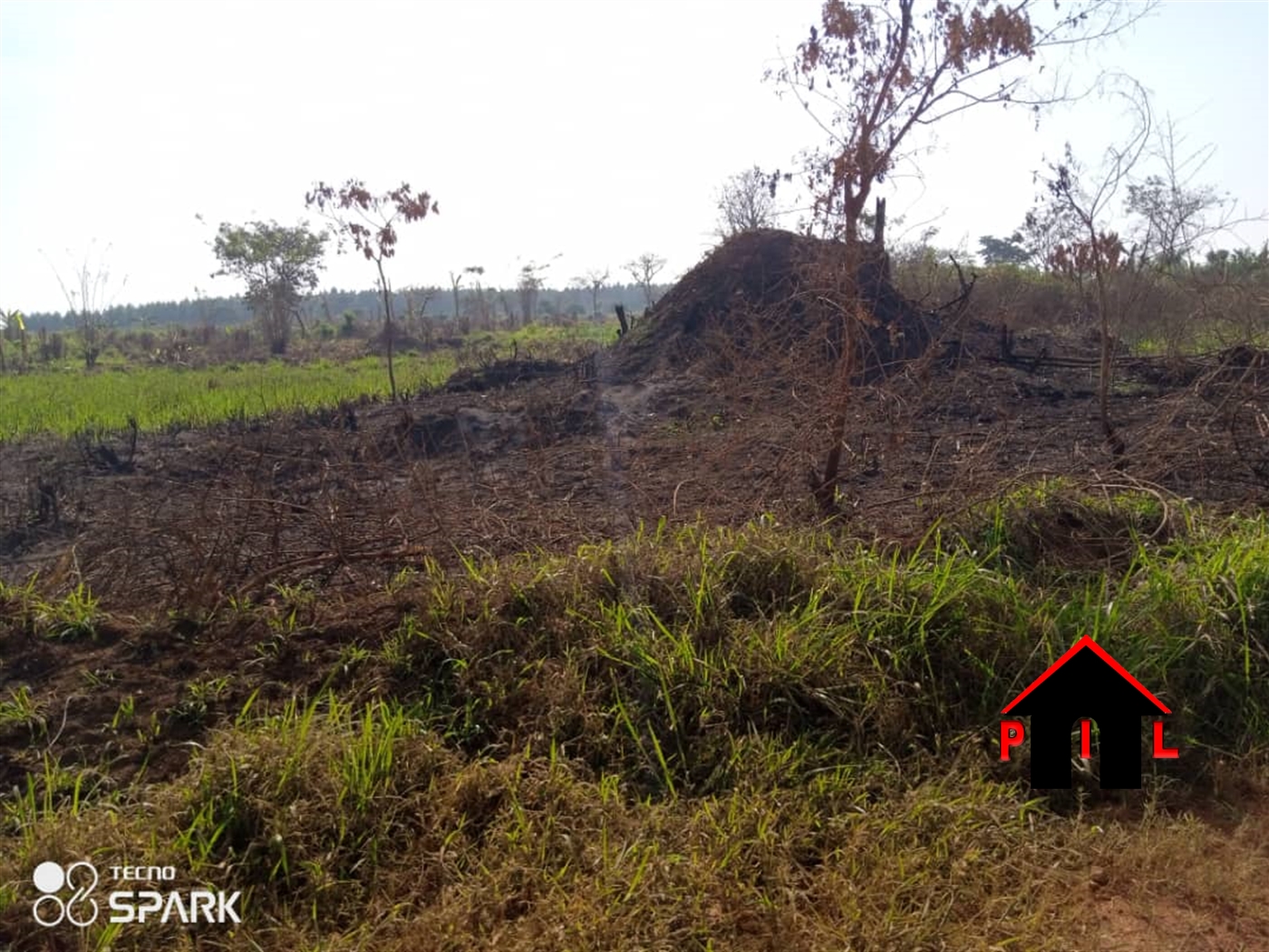 Agricultural Land for sale in Kigubya Luweero