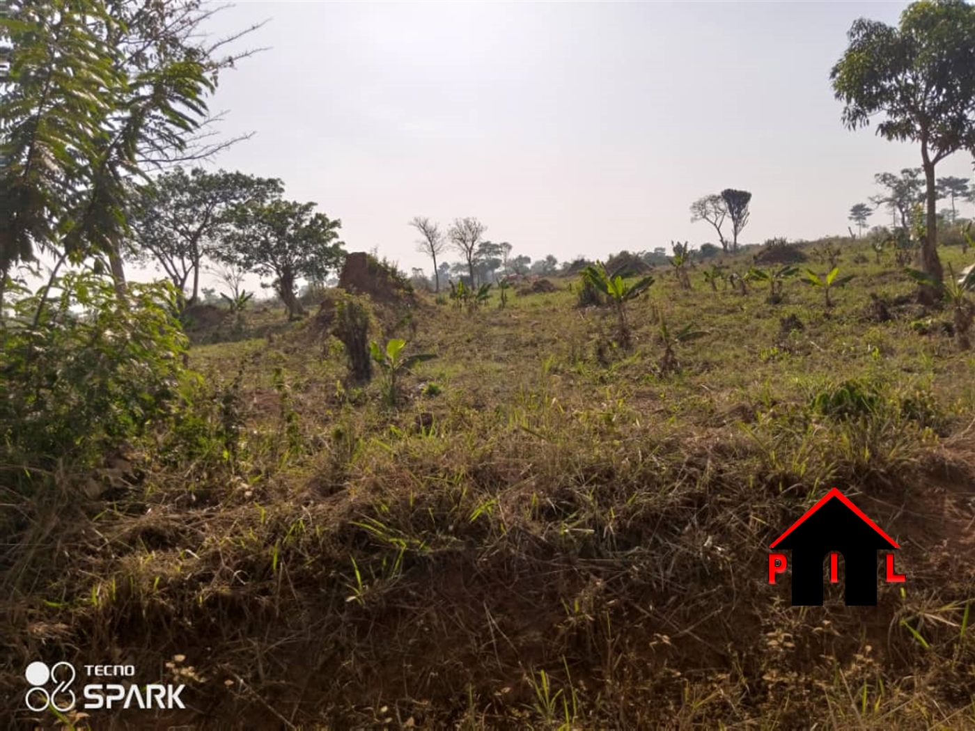 Agricultural Land for sale in Kigubya Luweero