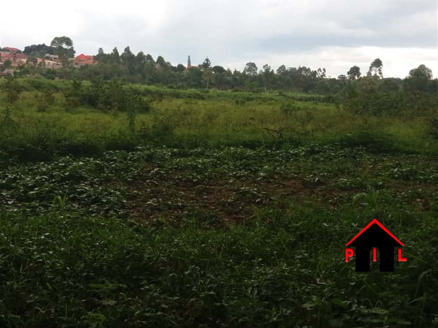 Residential Land for sale in Namusela Wakiso