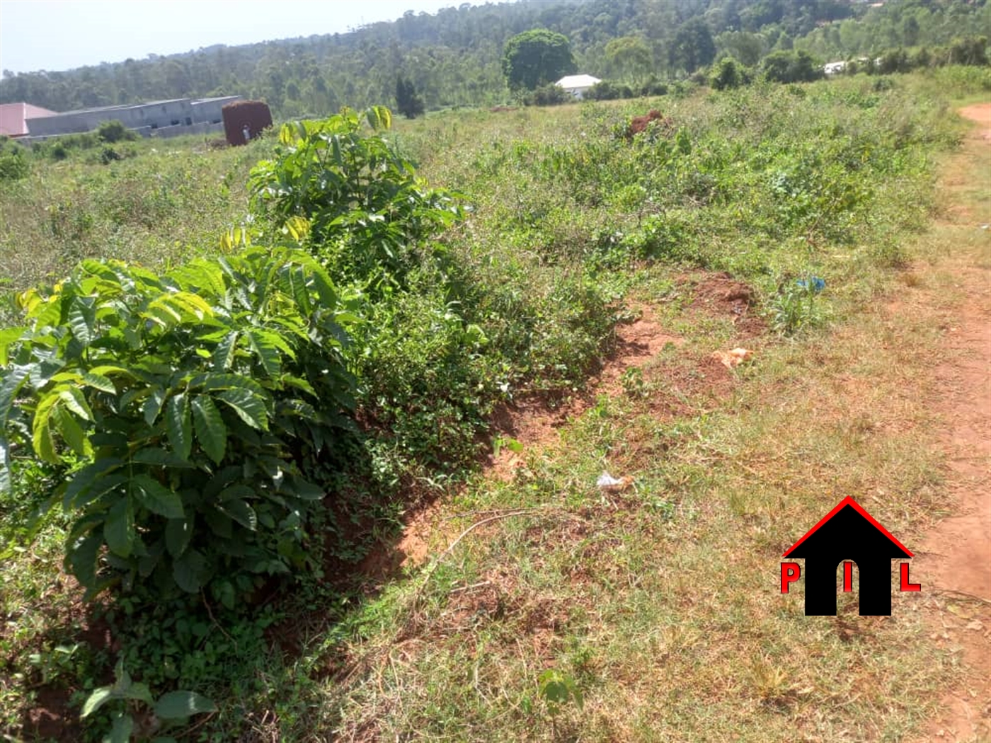 Residential Land for sale in Namusela Wakiso