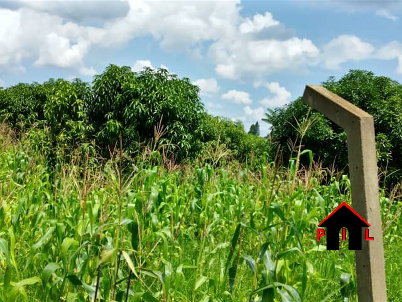 Agricultural Land for sale in Bukuya Kiboga