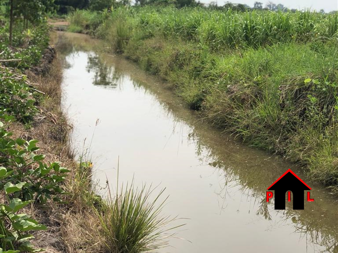 Agricultural Land for sale in Gobelo Hoima