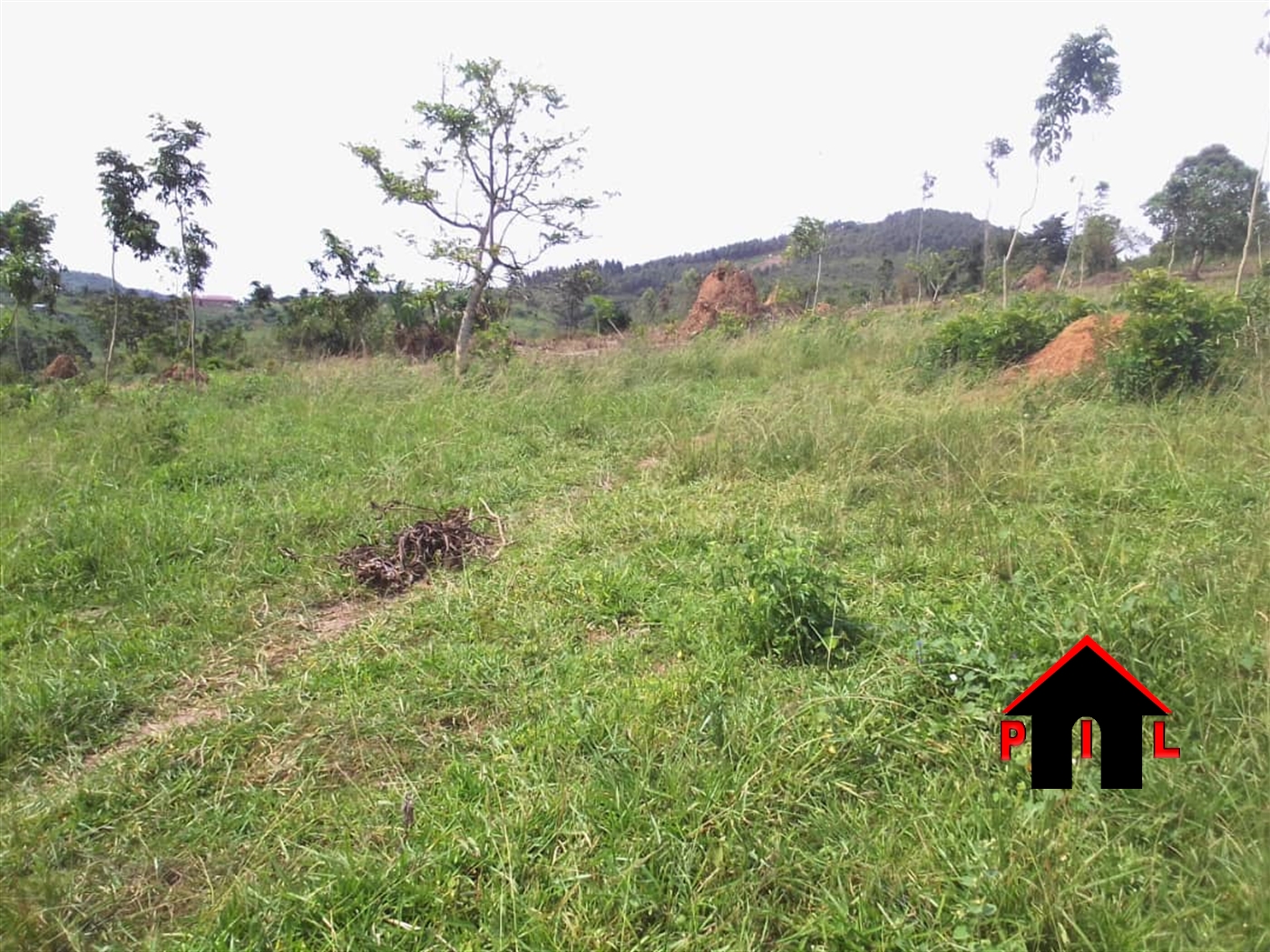 Agricultural Land for sale in Jezza Mpigi
