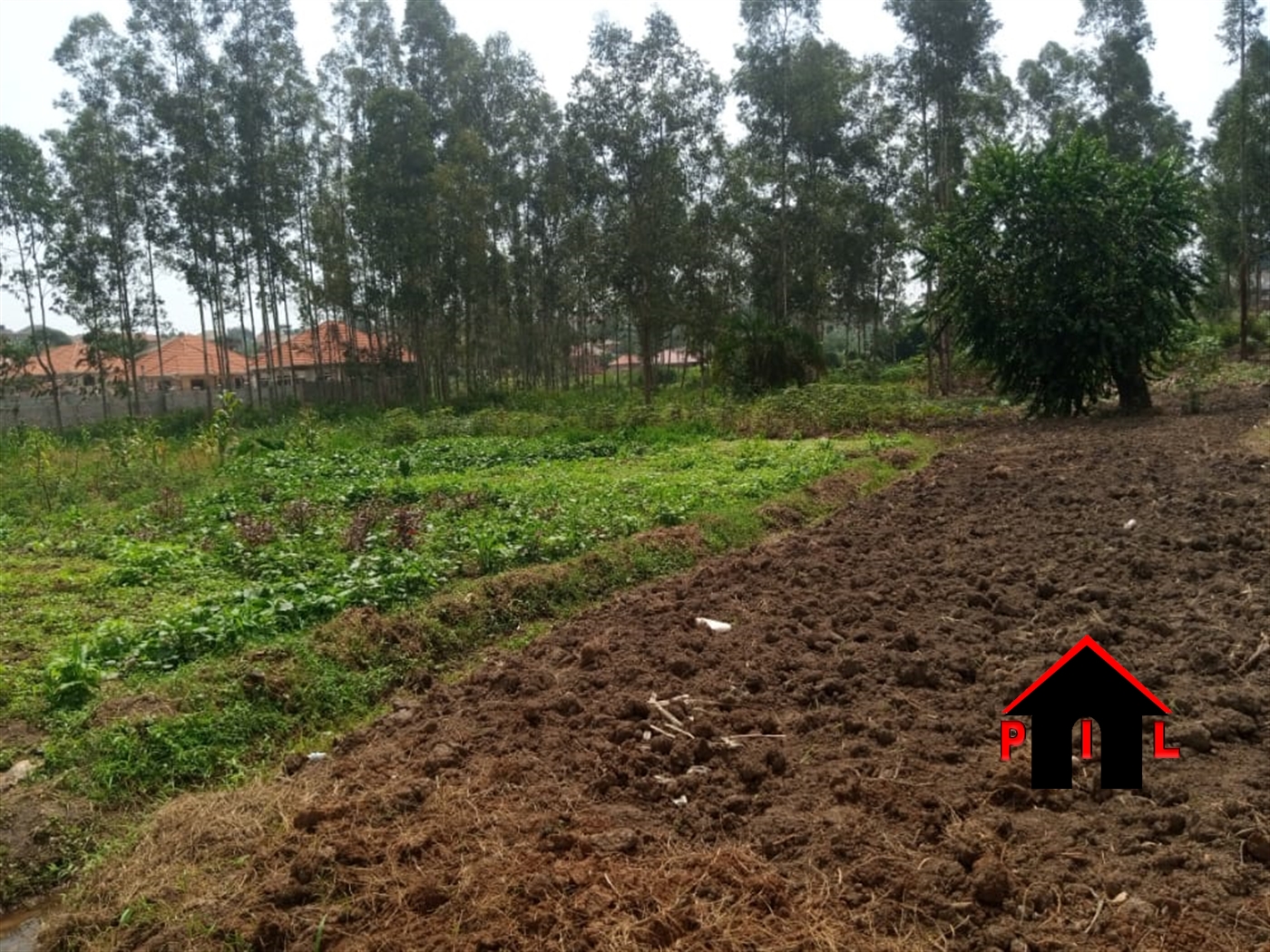 Residential Land for sale in Kitto Wakiso