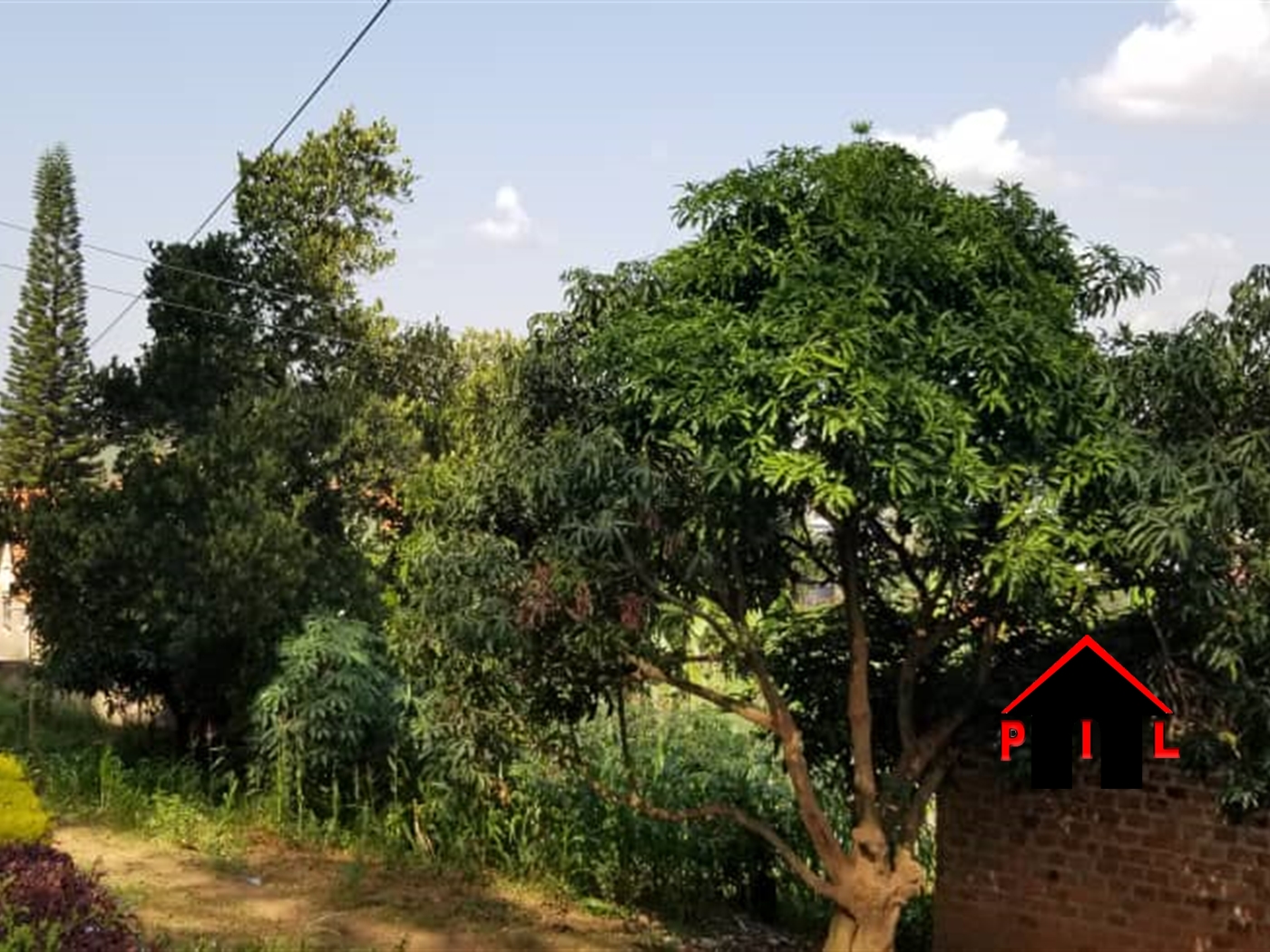 Residential Land for sale in Nabusigwe Mubende