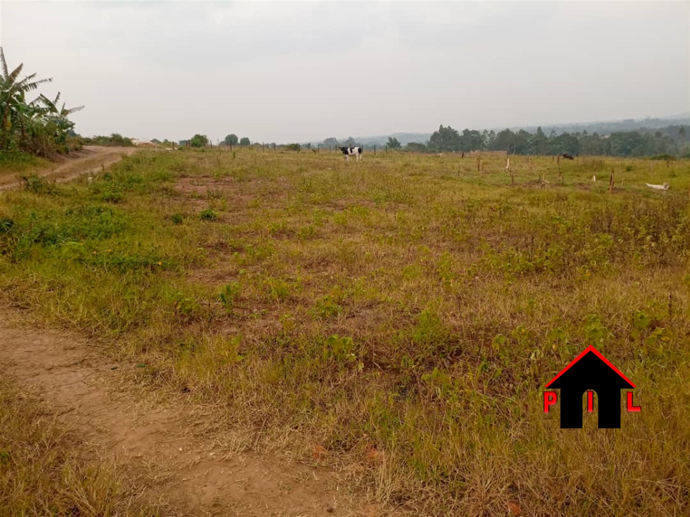 Residential Land for sale in Kitungwa Wakiso