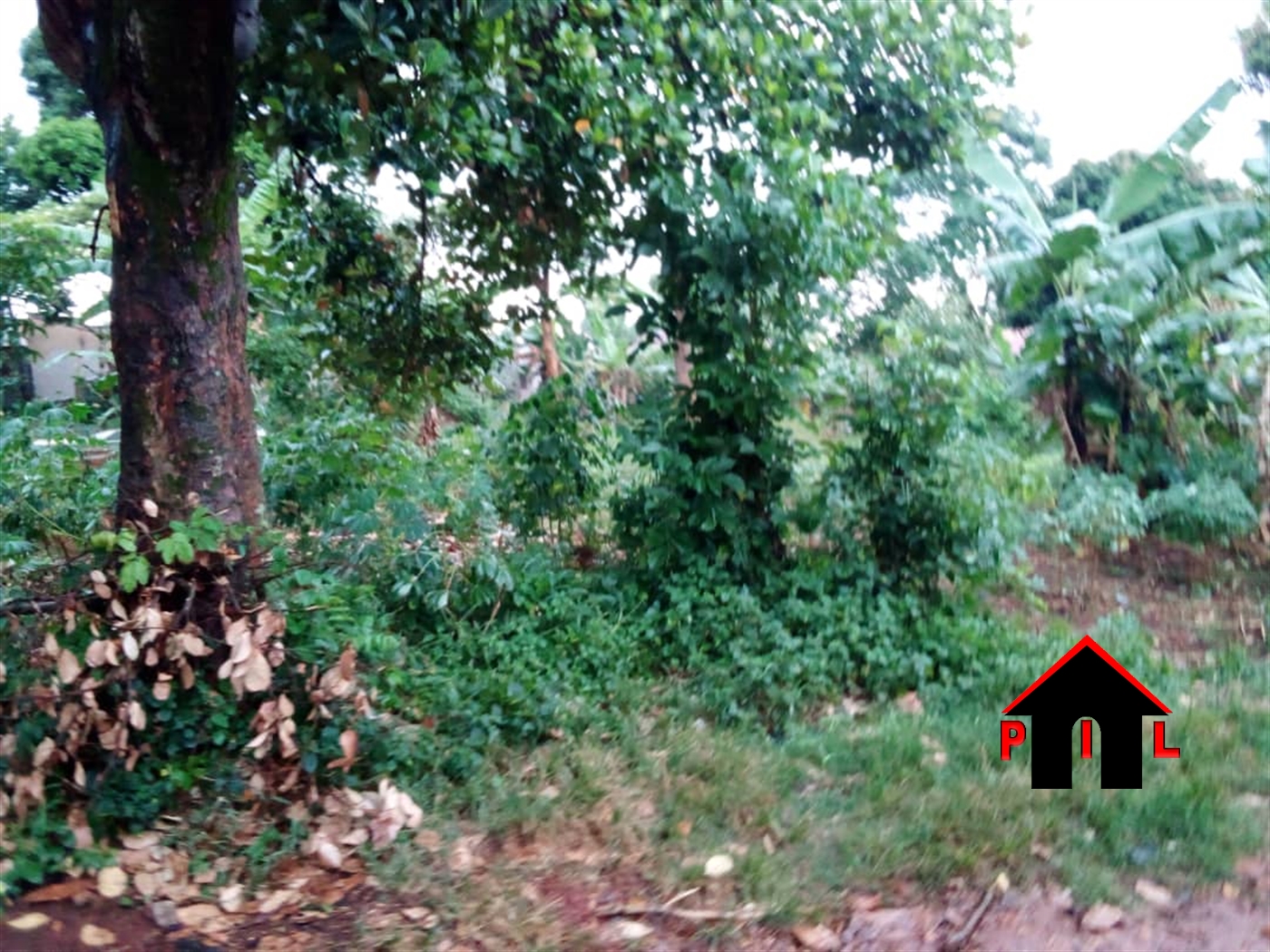 Residential Land for sale in Kungu Wakiso