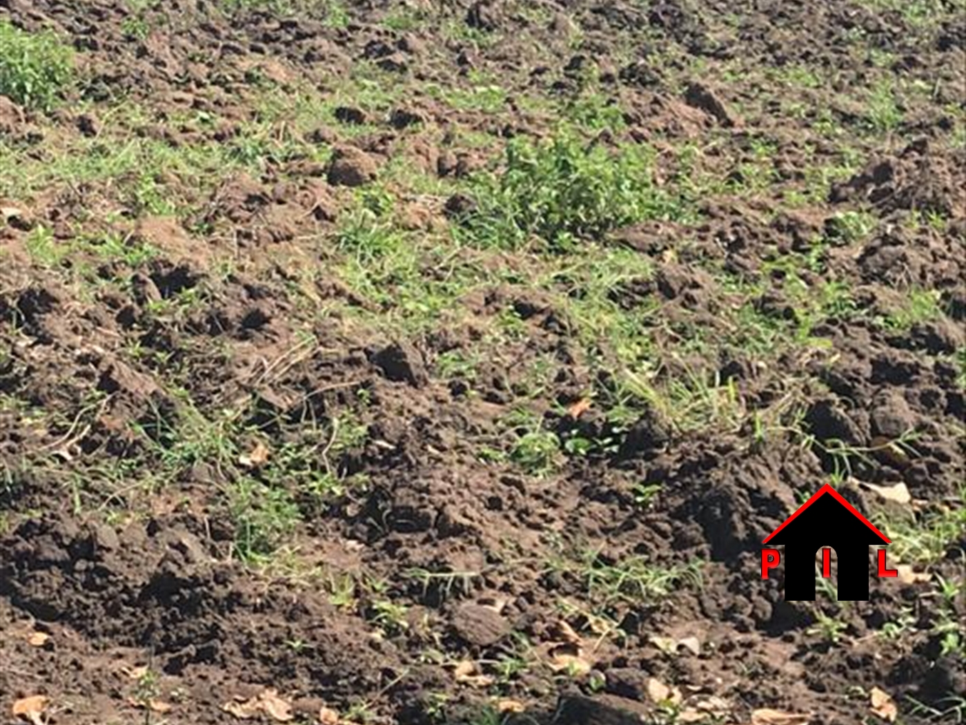 Agricultural Land for sale in Bombo Luweero