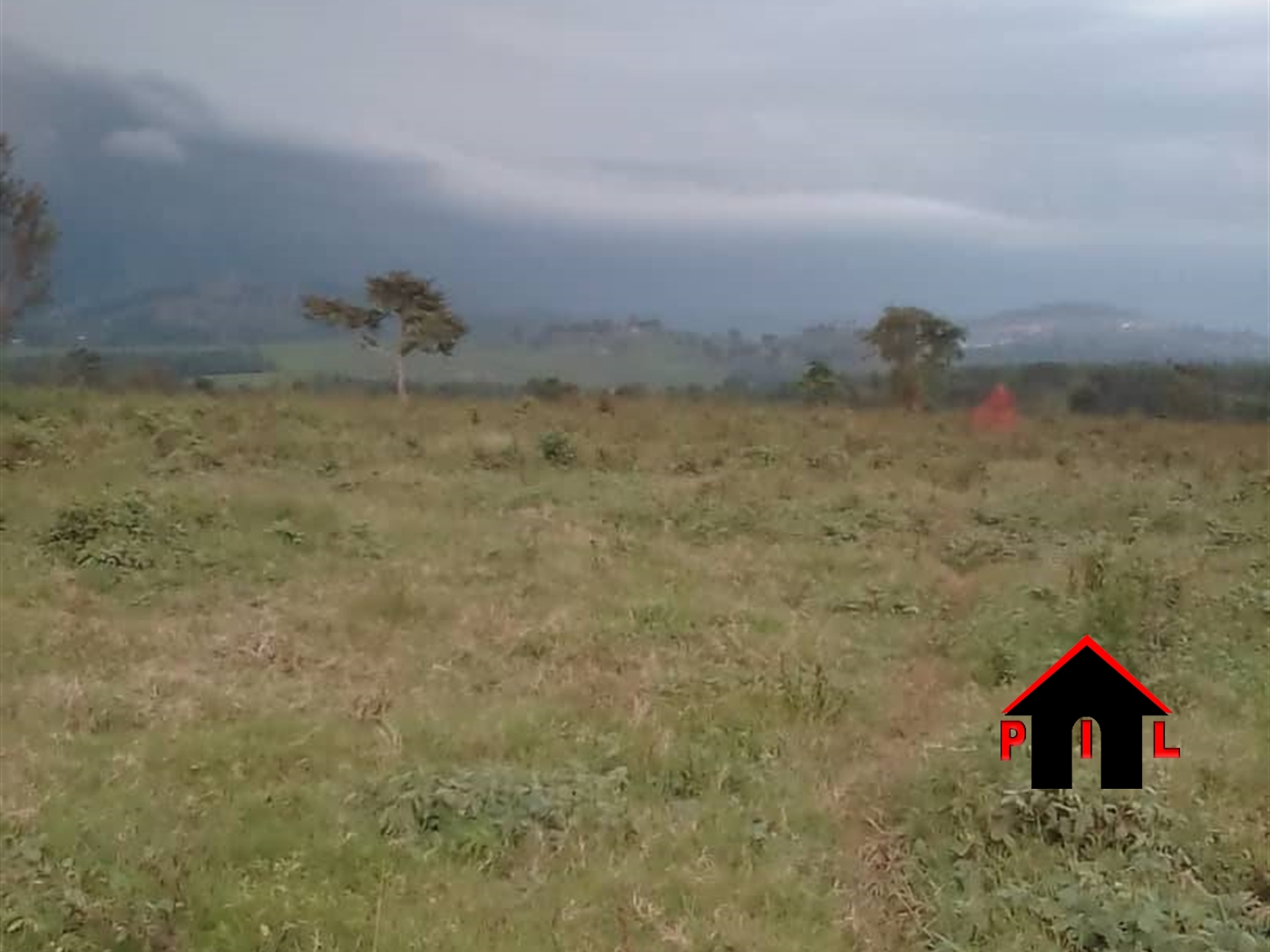 Agricultural Land for sale in Bukomelo Kiboga