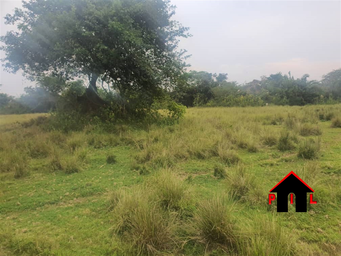 Agricultural Land for sale in Kalungucenter Kalungu