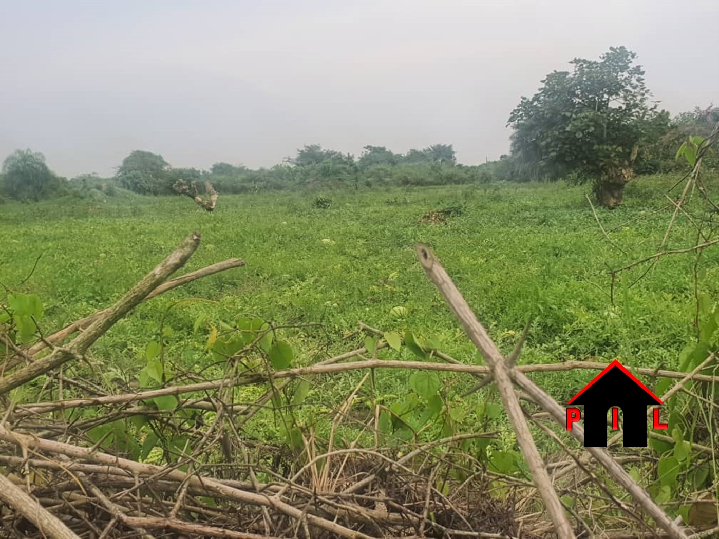 Agricultural Land for sale in Kalungucenter Kalungu