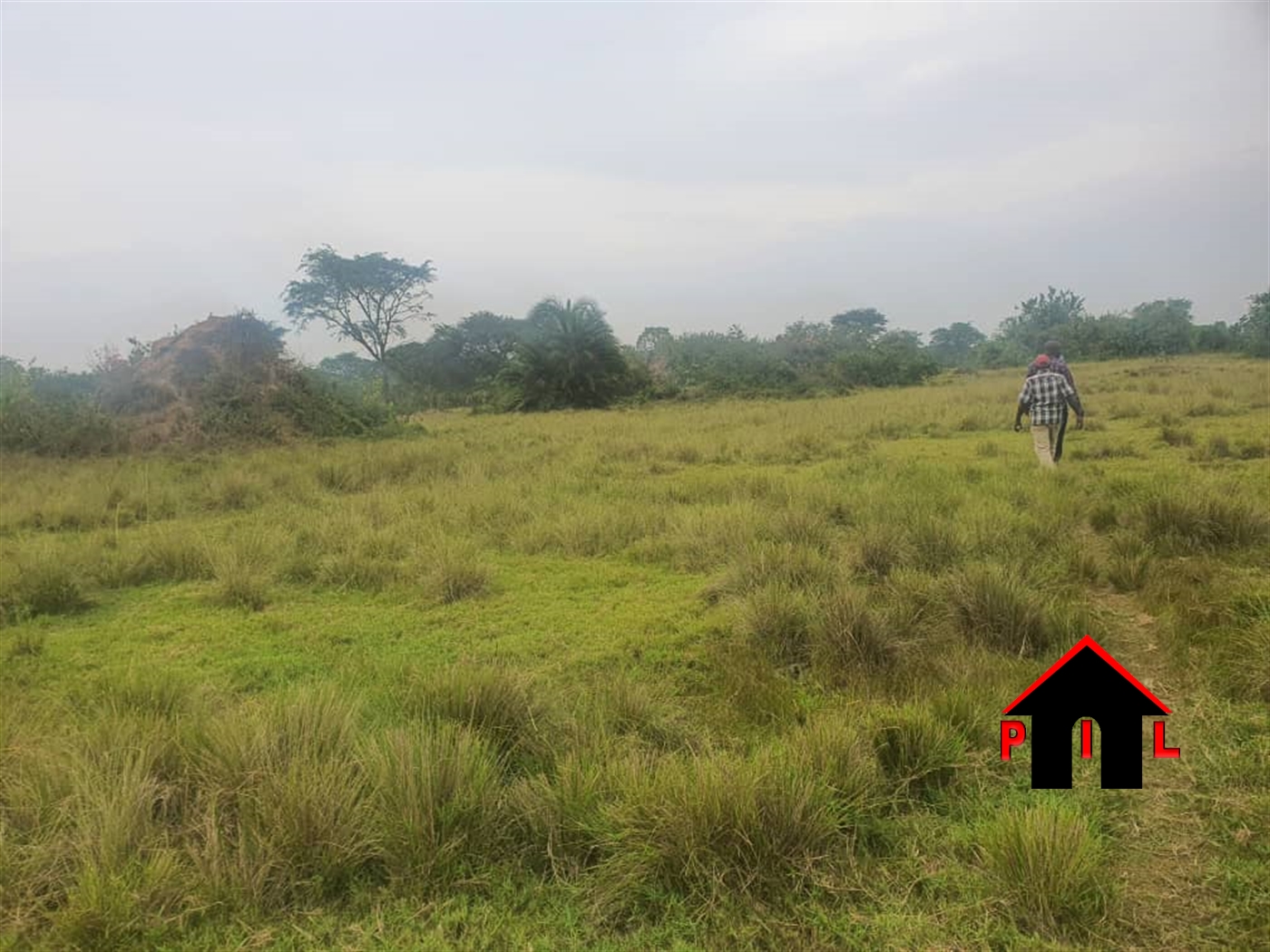 Agricultural Land for sale in Kalungucenter Kalungu