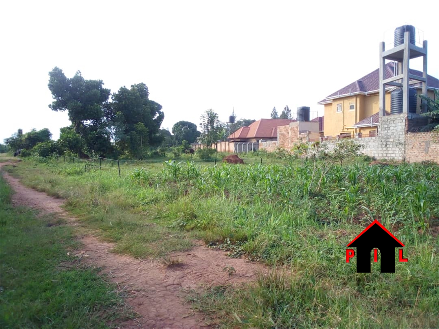 Residential Land for sale in Kiwenda Wakiso