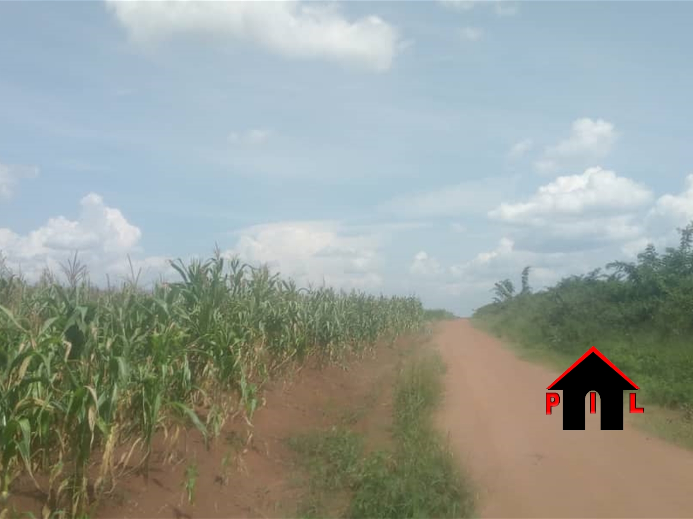 Residential Land for sale in Mazigo Wakiso
