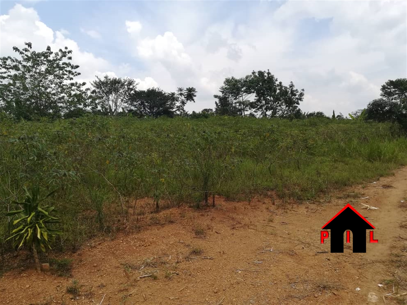 Agricultural Land for sale in Lubanja Mityana