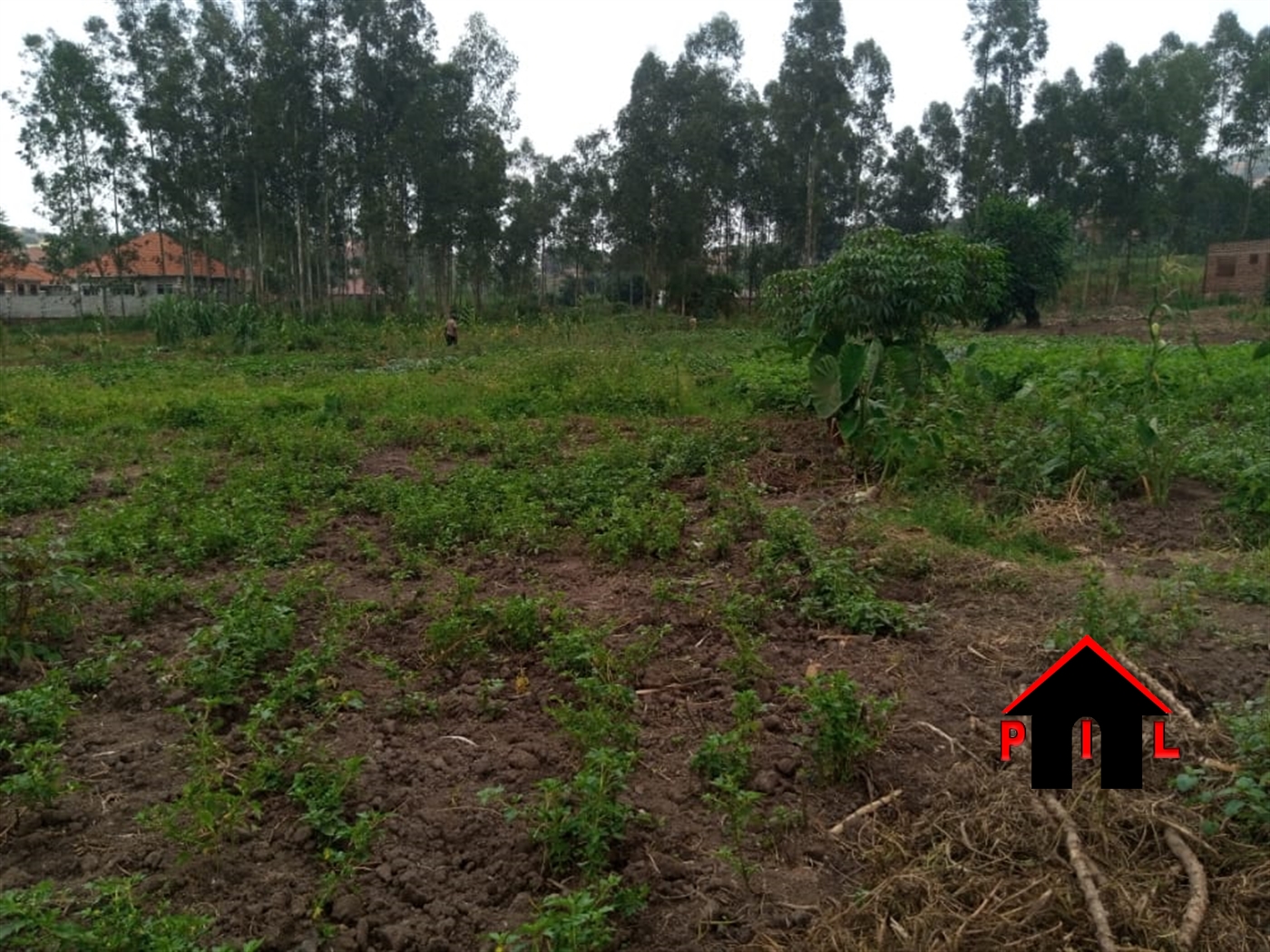 Residential Land for sale in Gombe Wakiso